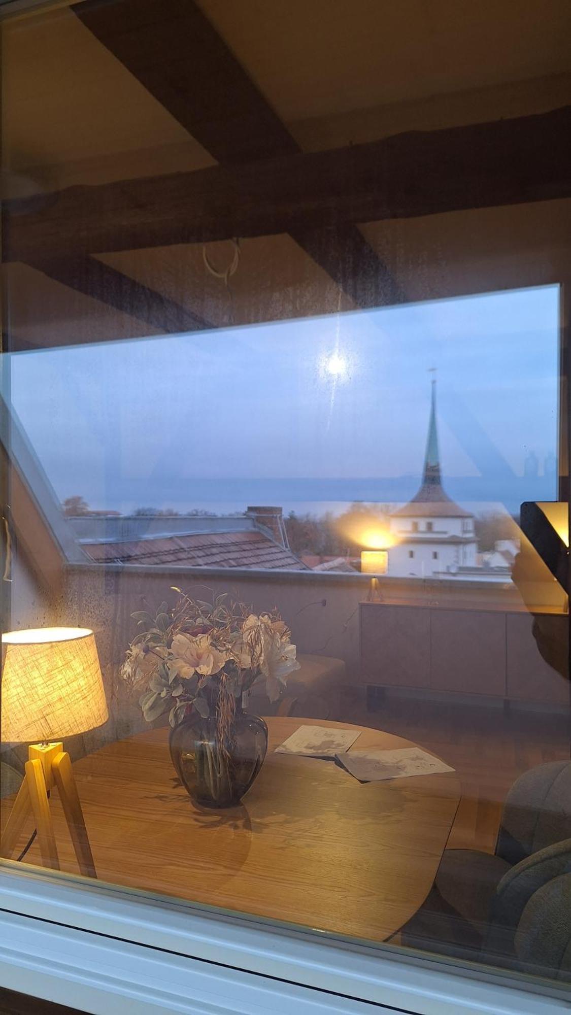 Stadtpalais Bellevue-Suite 3- Zimmer- Maisonettewohnung Mit Dachterrasse Maximal 4 Personen Bautzen Eksteriør bilde
